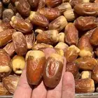 تمر صقعي للبيع