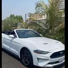 موستنج كشف 2018