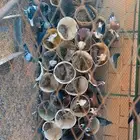 حمام للبيع