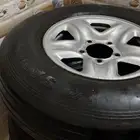 جنوط جيب اصليه وكاله