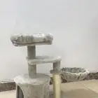 ألعاب القط