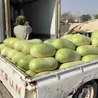 حبحب الجوف يوميا بالرياض