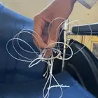 شبكه طيور