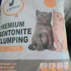 مستلزمات قطط