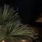 شقة للايجار