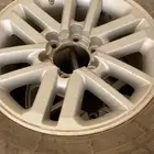 جنوط وكاله فورتنشر