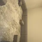 مجلس ارضي