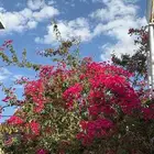 اذا محتاج مشوار كمبليت سيارتي فورد