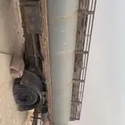 تانكي وايت عايدي