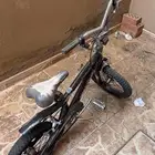 سيكلين كوبرا