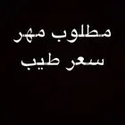 حصان