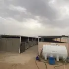 اسطبل مربط خيل للإيجار