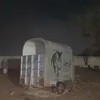 عربه نقل خيل