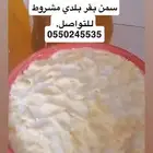 سمن بقر بلدي مشروط