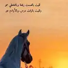 مربط النوادر