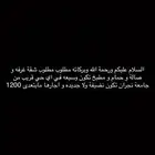 مطلوب شقة عزاب اجار شهري نضيفة و وسيعه