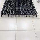 ارضيات دواجن وحمام وأغنام