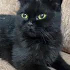 لقيت البسة هذي عند بيتنا