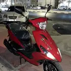 للبيع دباب ام بلوف