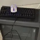 كرت شاشة 4080 للبيع 16 قيقا