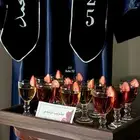 مصوره جوال خميس مشيط