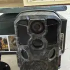 كاميرا رصد حيوانات