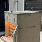فقاسة