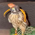 باشق الصحه شرط وكفو الجنسيه انثا تهد علا حمام وعلا سمان