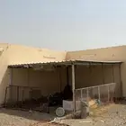 شبك غنم