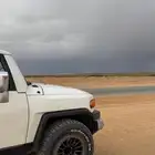 جنوط ميثامود