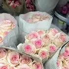 ورد طبيعي بالجمله وتوزيعات