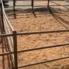 يوجد حضاير الابل الايجار