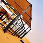 مضلات. ابل