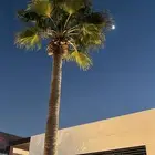 اعلن معنا مشاهدات بالملايين