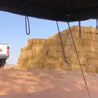تبن قمح شد شركه البيع كامل الكميه حول 100
