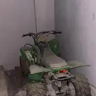 دباب