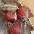 شبك سياره شبك عفش واصطبات