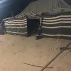 بيت شعر كفو