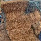 ذرة جيزانية وتبن قمح