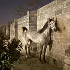 مهر مصري