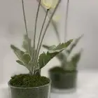 ورد طاولات الخدمه