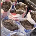 حطب للبيع رمث