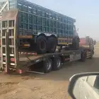 لوبد في بيشة