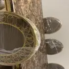طاوله طعام جديده ماستخدمت مع 8 كراسي
