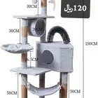 خداشه قطط جديده للبيع المستعجل120