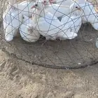 حمام فرنسي