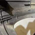 طيس النترا