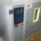 فقاسه