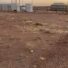 ارض و مخيم ارينبه جنوب حايل بيع حد 18 الف او لاستثمارات شهري