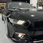 موستنج فل بريميوم قير عادي